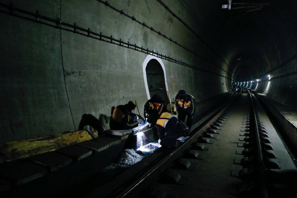 苍南铁路运营隧道病害现状